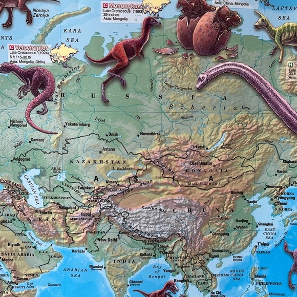 Dinosaur Map - Picture 5 of 7